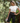 Fitness Vibes Yoga Capri Leggings. Stylish 4-Way Stretch High-Rise Waistband. Available in 6 Sizes . Classy FV Women’s Activewear.