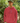 Fitness Vibes Youth Heavy Blend Hooded Sweatshirt, Stylish & Comfortable ,FV Classy Unisex Hoodie for Boys & Girls wardrobe .FV Youth Wear cosi & comfy